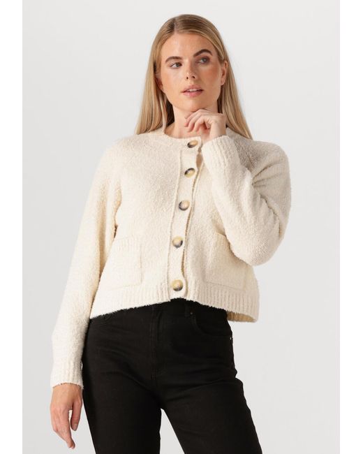 Vanessa Bruno Natural Damen Pullover & Cardigans Fantine