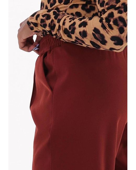 Ydence Red Hose Pants Meta