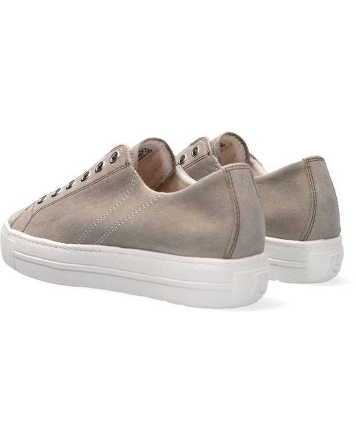 Paul Green Black Paul Sneaker Low 5076