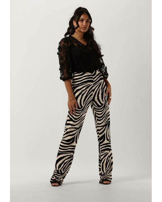 Jansen Amsterdam Black Hose Perth