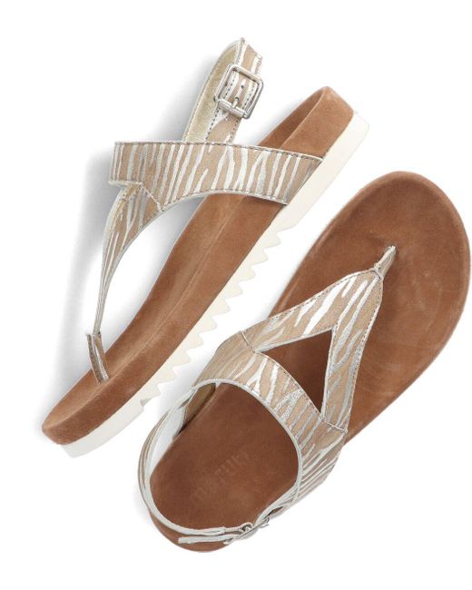 Maruti Black Sandalen Bear