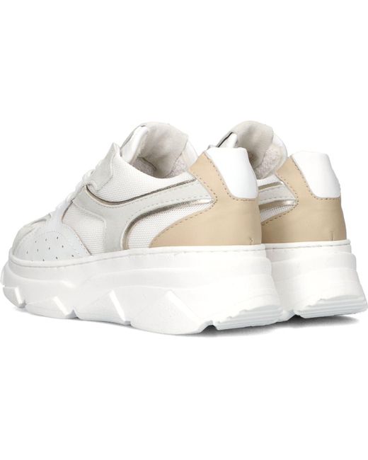 Notre-v Black Sneaker Low 06-60