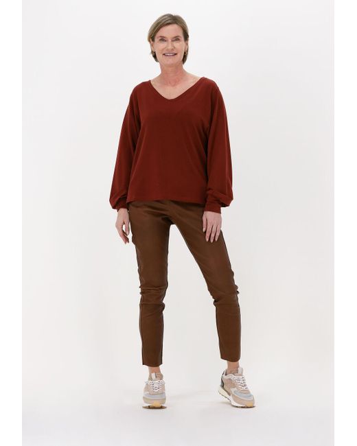 Simplee Multicolor Top Loni