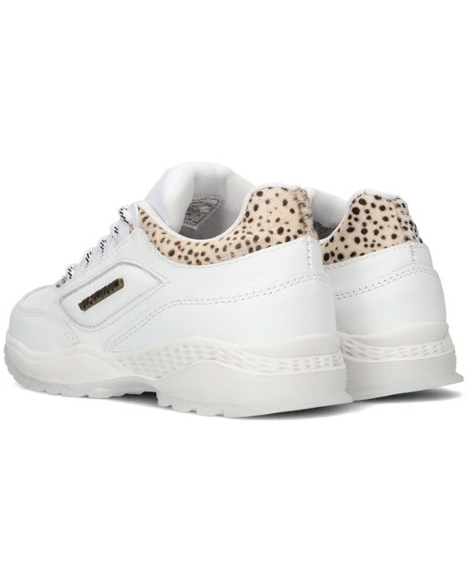 Vingino Black Sneaker Low Fenna Mädchen