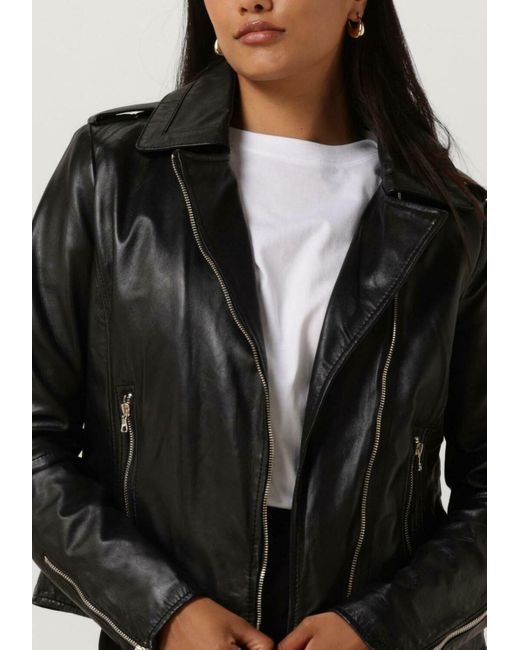 Ibana Black Lederjack Bear Blaze