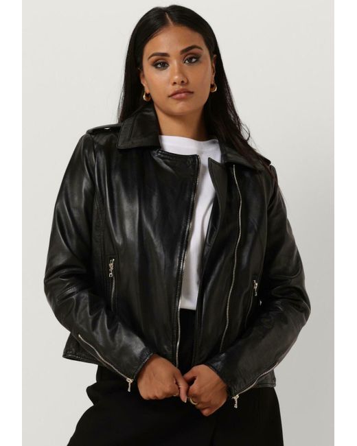 Ibana Black Lederjack Bear Blaze