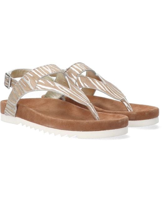 Maruti Black Sandalen Bear