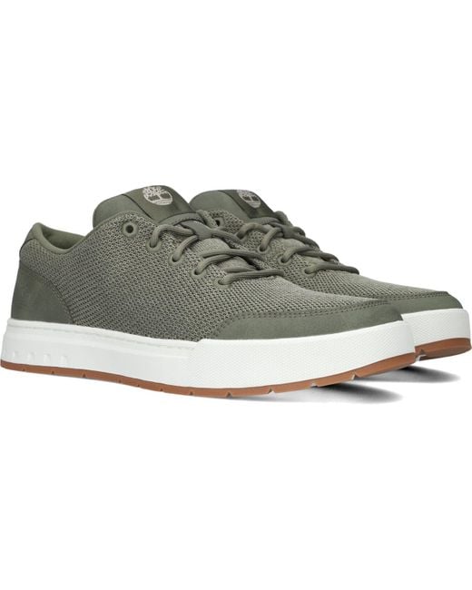 Timberland Sneaker Low Maple Grove Knit in Black für Herren