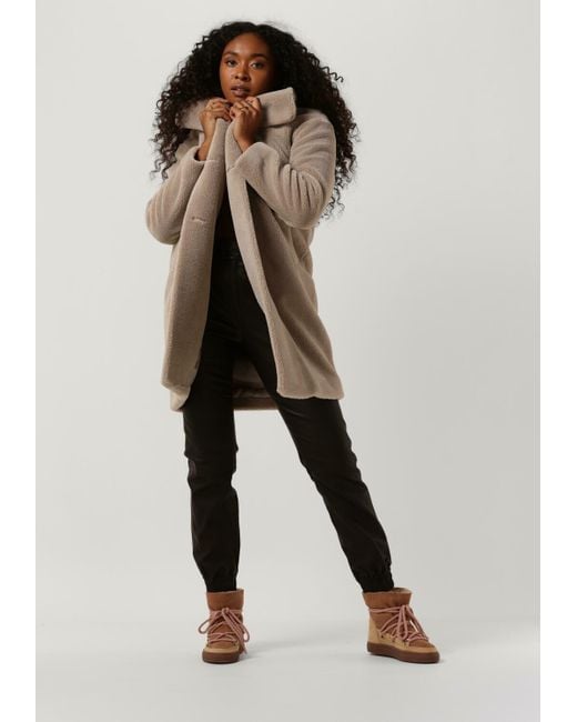 My Essential Wardrobe Brown Pullover The Knit Pullover