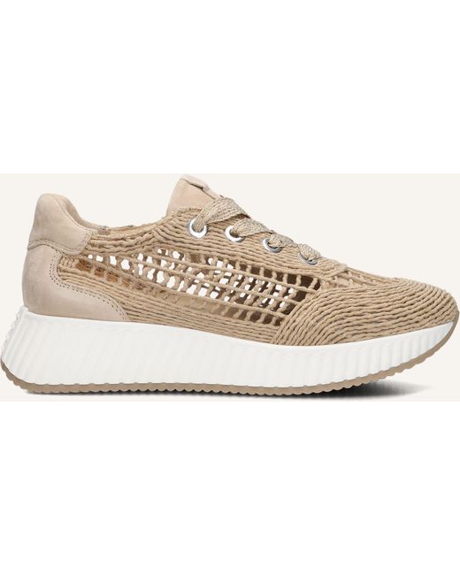 Softwaves Black Damen Sneaker 8.95.04