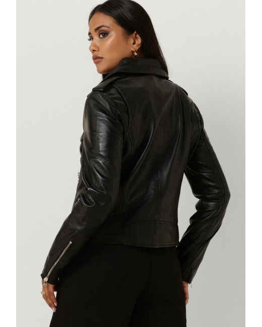 Ibana Black Lederjack Bear Blaze