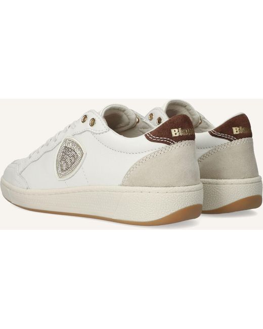 Blauer Black Damen Sneaker Olympia21