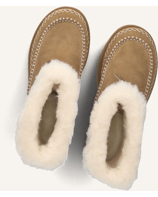 Ugg Brown Damen Stiefel Classic Mini Alpine