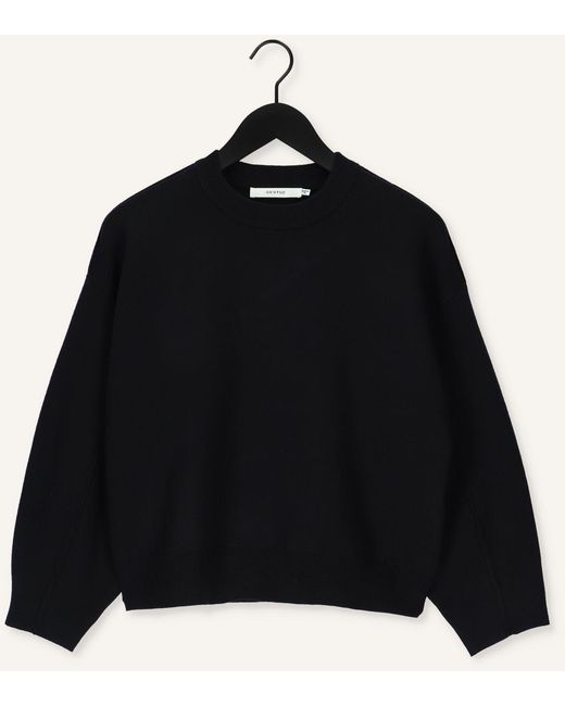 Gestuz Black Pullover Talligz Pullover