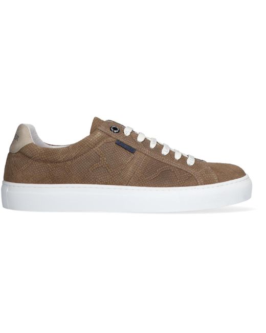 VAN LIER Sneaker Low Novara in Grau für Herren - Lyst
