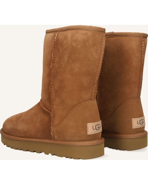 Ugg Brown Damen Stiefel Classic Short Ii