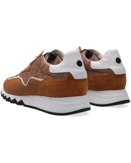 Floris Van Bommel Cognac Lage Sneakers 85334 - Lyst