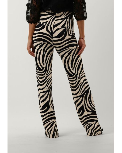 Jansen Amsterdam Black Hose Perth