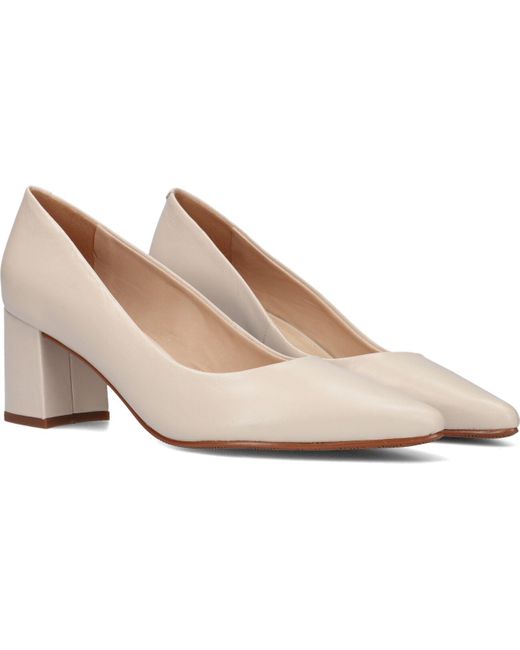Omoda Pumps Brenda in het Zwart | Lyst BE