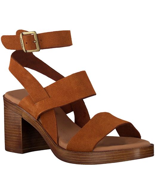 Omoda Rubber Sandalen 4539 in het Bruin - Lyst