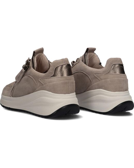 Gabor Gray Sneaker Low 598