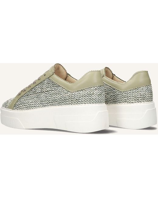 Softwaves Black Damen Sneaker 9.11.02
