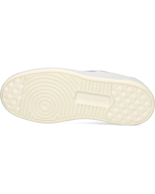 Calvin Klein Black Sneaker Low Basket Cupsole Women