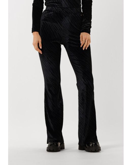 Colourful Rebel Black Schlaghose Jolie Zebra Velvet Flare