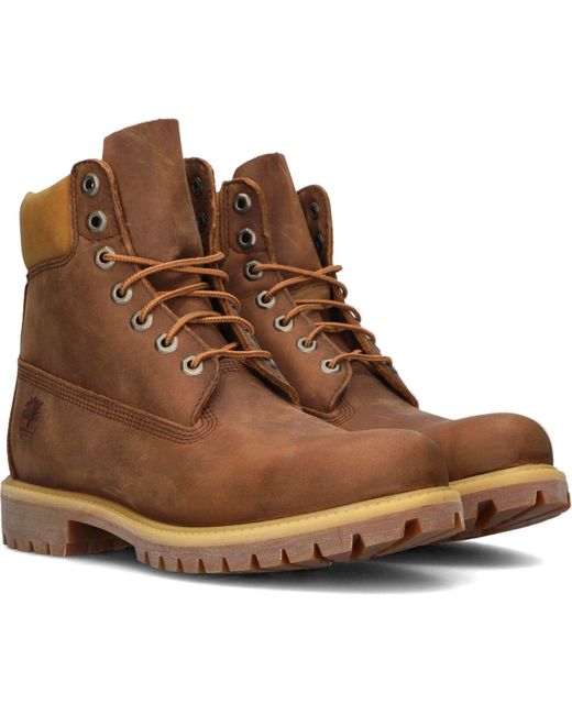 Timberland Brown Schnürboots 6inch Premium Boot