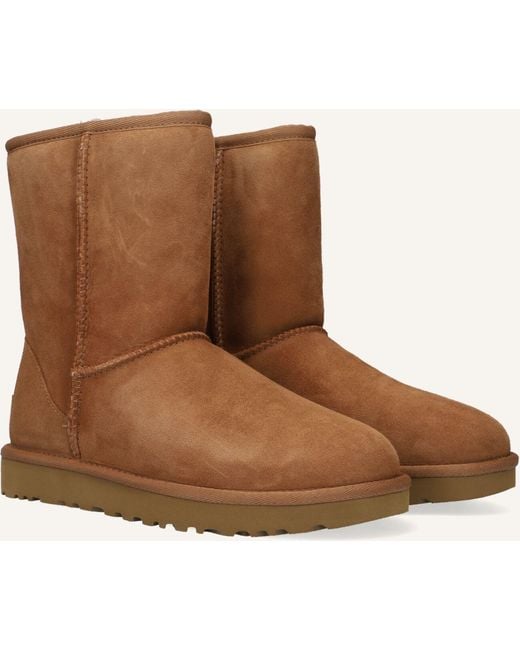 Ugg Brown Damen Stiefel Classic Short Ii