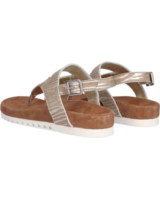 Maruti Black Sandalen Bear