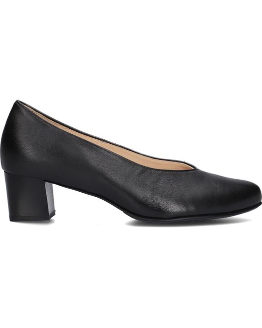 HASSIA Black Pumps Florenz