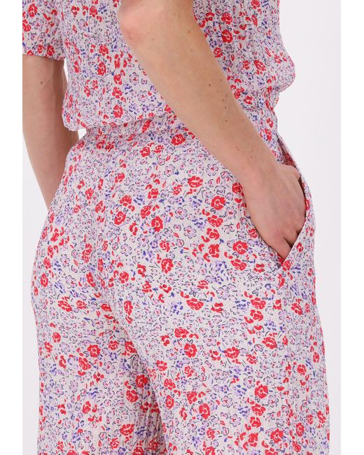 Minimum Pink Weite Hose Aratty Nicht-gerade