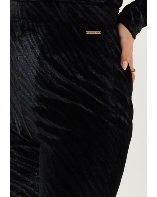 Colourful Rebel Black Schlaghose Jolie Zebra Velvet Flare