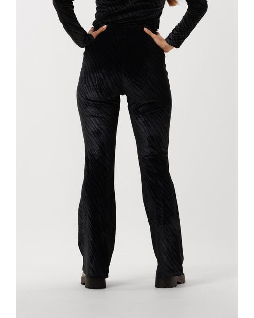 Colourful Rebel Black Schlaghose Jolie Zebra Velvet Flare