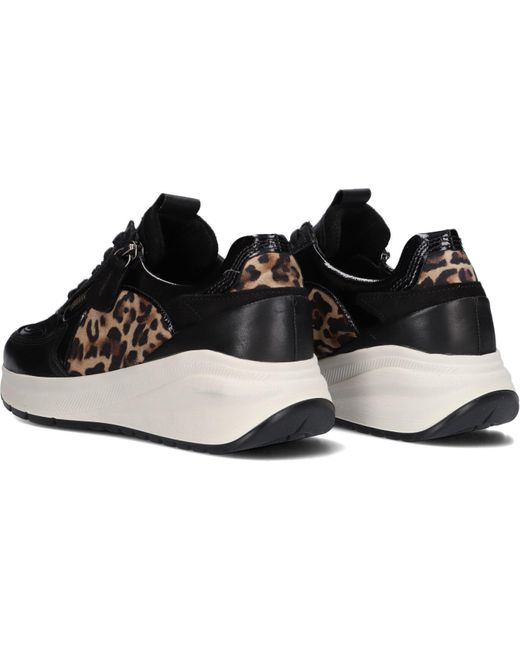 Gabor Black Sneaker Low 598