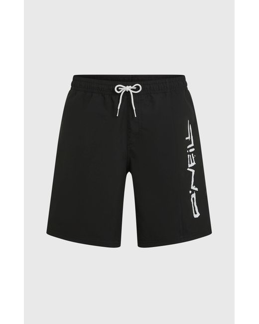 O'neill Sportswear Blue Retro 19' Swimshorts for men