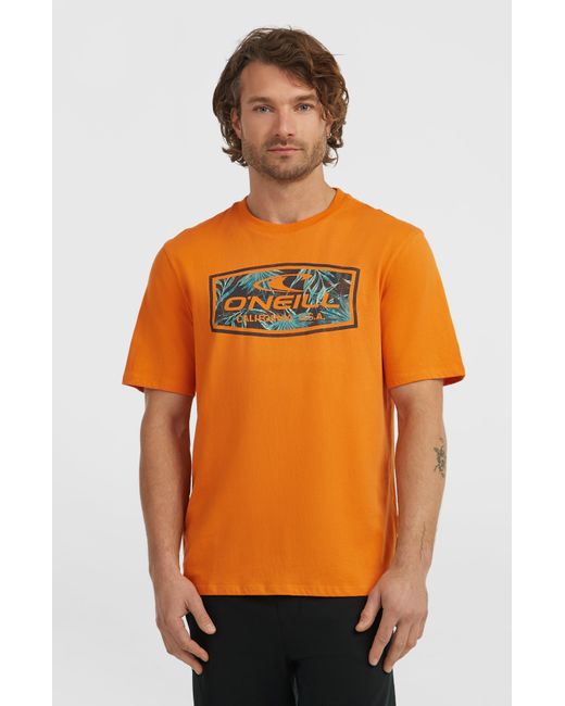 O'neill Sportswear White Graphic T-Shirt for men