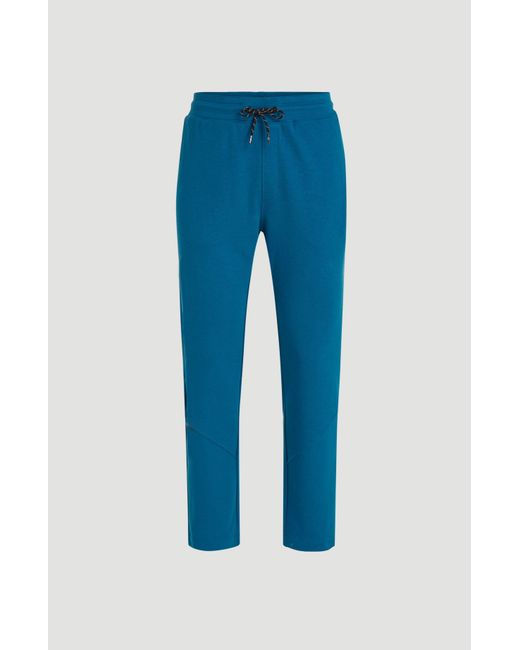 O'neill Sportswear Blue Freak Jogger Pants for men