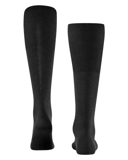 Falke Airport Knee-high Sokken in het Black voor heren