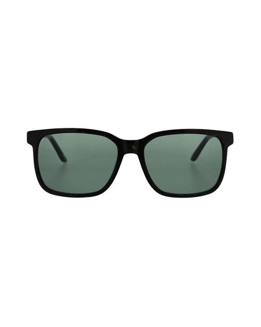 Original Penguin Black The Lester Sunglasses In Tortoise Shell for men