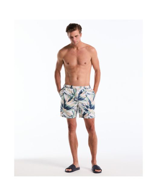 Original Penguin Blue Succulent Print Swim Shorts In Bright White for men