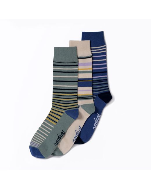 Original Penguin 3 Pack Multi Striped Socks In Blue for men