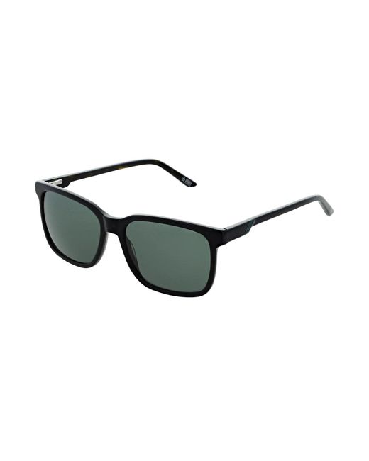 Original Penguin Black The Lester Sunglasses In Tortoise Shell for men