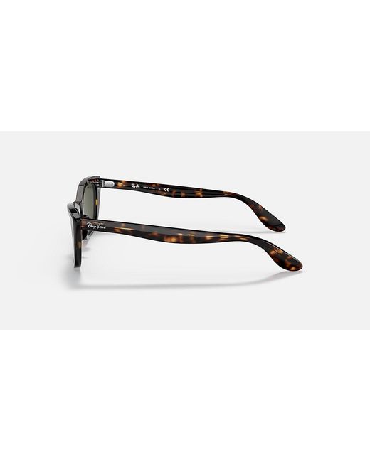 Ray-Ban Black 2299 Sole