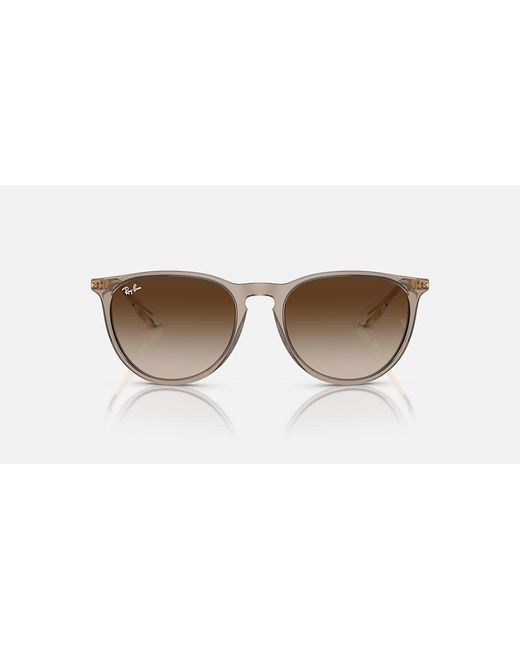 Ray-Ban Black Erika Classic Sunglasses