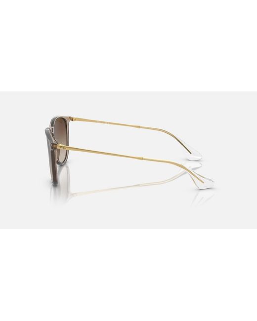 Ray-Ban Black Erika Classic Sunglasses