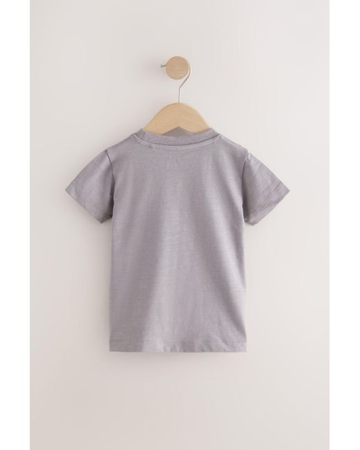 Next T-Shirt mit Applikation aus 100 % Baumwolle (1-tlg) in Gray für Herren