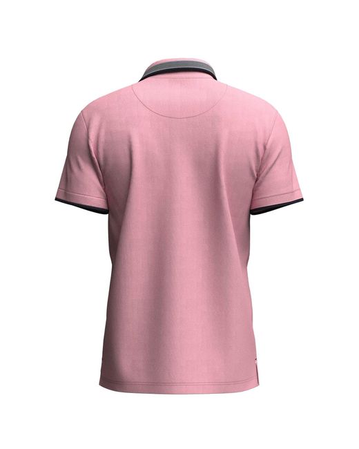 Fynch-Hatton Poloshirt Polo, contrast tipping in Pink für Herren