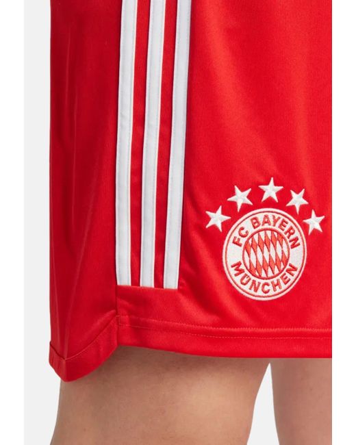 adidas Originals Shorts FC Bayern (1-tlg) in Rot für Herren | Lyst DE